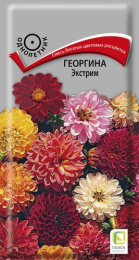 Георгина Экстрим 0,2г цветной пакет Поиск