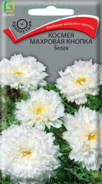 Космея Махровая кнопка Белая 0,1г цветной пакет Поиск