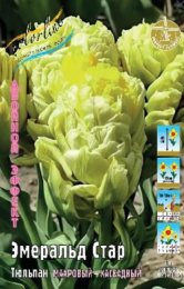 Тюльпан Эмеральд Стар 7шт. Colorline