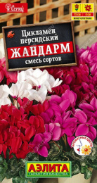 Цикламен Жандарм персидский, смесь сортов 3шт. цветной пакет Аэлита