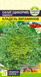 Салат эндивий Кладезь витаминов 0,5г цветной пакет Семена Алтая