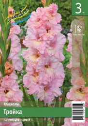 Гладиолус Тройка 10/12 3шт. Эконом Colorline