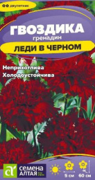 Гвоздика гренадин Леди в черном 0,05г цветной пакет Семена Алтая