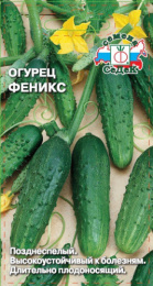 Огурец Феникс   0,5г цветной пакет Седек