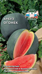 Арбуз Огонек  1г цветной пакет Седек