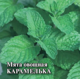 Мята Карамелька 10000шт. фермерский пакет Гавриш