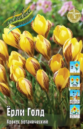Крокус Ёрли Голд  8шт. Colorline