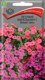 Петуния Вельвет смесь F1 ампельная 5шт. цветной пакет Поиск