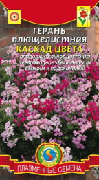 Герань Каскад Цвета плющелистная 3шт. цветной пакет Плазменные семена