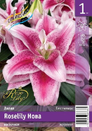 Лилия Roselily Нова 12/14 1шт. Эконом (ORD) Colorline