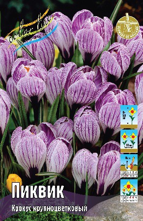 Сетка Крокус Пиквик 100шт. Colorline
