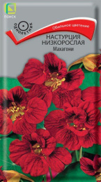 Настурция Махагони низкорослая 1г цветной пакет Поиск