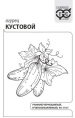 Огурец Кустовой  0,3г белый пакет Гавриш