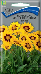 Кореопсис Потеха ланцетовидный 0,1г цветной пакет Поиск
