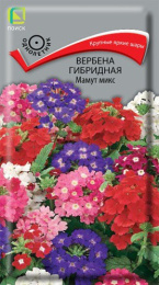 Вербена Мамут микс гибридная 0,2г цветной пакет Поиск