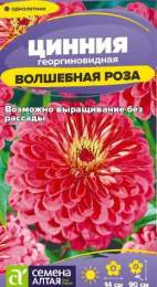 Цинния Волшебная роза георгиновидная 0,2г цветной пакет Семена Алтая