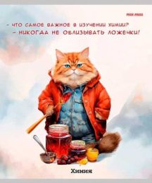 Тетрадь  48 листов П Химия Жил был кот Т48-1450
