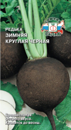 Редька Зимняя круглая черная   1г цветной пакет Седек