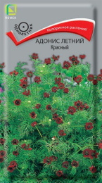 Адонис Красный летний 0,3г цветной пакет Поиск