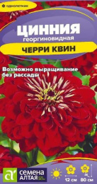 Цинния Черри квин георгиноцветковая 0,2г цветной пакет Семена Алтая