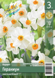 Нарцисс Гераниум 3шт. Эконом Colorline