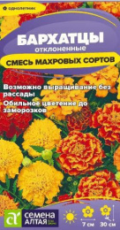 Бархатцы отклоненные (Тагетес) Смесь махровых сортов 0,2г цветной пакет Семена Алтая