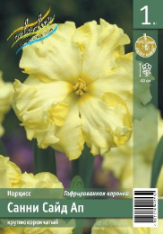 Нарцисс Санни Сайд Ап 1шт. Эконом Colorline