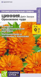 Цинния Дабл захара оранжевое чудо 5шт. цветной пакет Семена Алтая