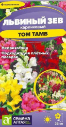 Львиный зев (Антирринум) Том Тамб карликовый 0,1г цветной пакет Семена Алтая