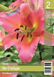 Лилия Он Стейдж 12/14 2шт. Эконом (OT) Colorline