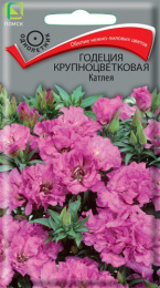 Годеция Катлея крупноцветковая 0,2г цветной пакет Поиск