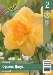 Нарцисс Оранж Джус 2шт. Эконом Colorline