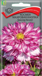 Космея Махровая кнопка Биколор Виолет 0,1г цветной пакет Поиск