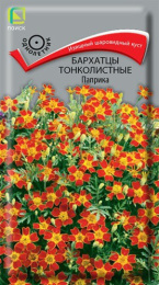 Бархатцы тонколистные (Тагетес) Паприка 0,1г цветной пакет Поиск