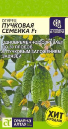 Огурец Пучковая семейка F1  5шт. цветной пакет Семена Алтая