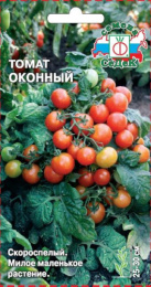 Томат Оконный 0,1г цветной пакет Седек