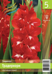 Гладиолус Традерхорн 10/12 5шт. Эконом Colorline
