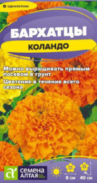 Бархатцы низкорослые (Тагетес) Коландо смесь 0,2г цветной пакет Семена Алтая