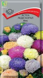 Астра Леди Корал микс 0,1г цветной пакет Поиск