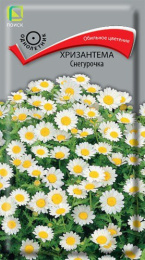Хризантема Снегурочка 30шт. цветной пакет Поиск