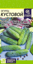 Огурец Кустовой  0,5г цветной пакет Семена Алтая