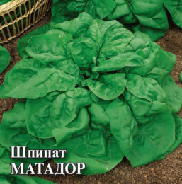 Шпинат Матадор 25г фермерский пакет Гавриш