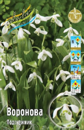 Подснежник Воронова  8шт. Colorline
