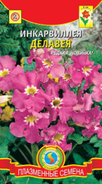 Инкарвиллея Делавея 7шт. цветной пакет Плазменные семена