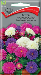 Астра Ковер смесь окрасок низкорослая 0,2г цветной пакет Поиск