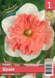 Нарцисс Шрайк 1шт. Эконом Colorline