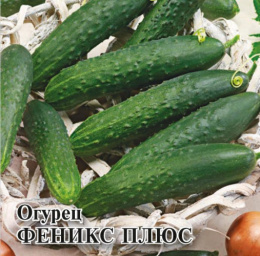 Огурец Феникс плюс  10г фермерский пакет Гавриш