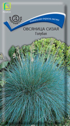 Овсяница Голубая сизая 0,1г цветной пакет Поиск
