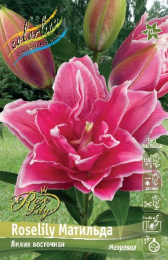 Лилия Roselily Матильда 12/14 1шт. Эконом (ORD) Colorline