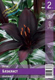 Лилия Блэклист 12/14 2шт. Эконом (AZ) Colorline